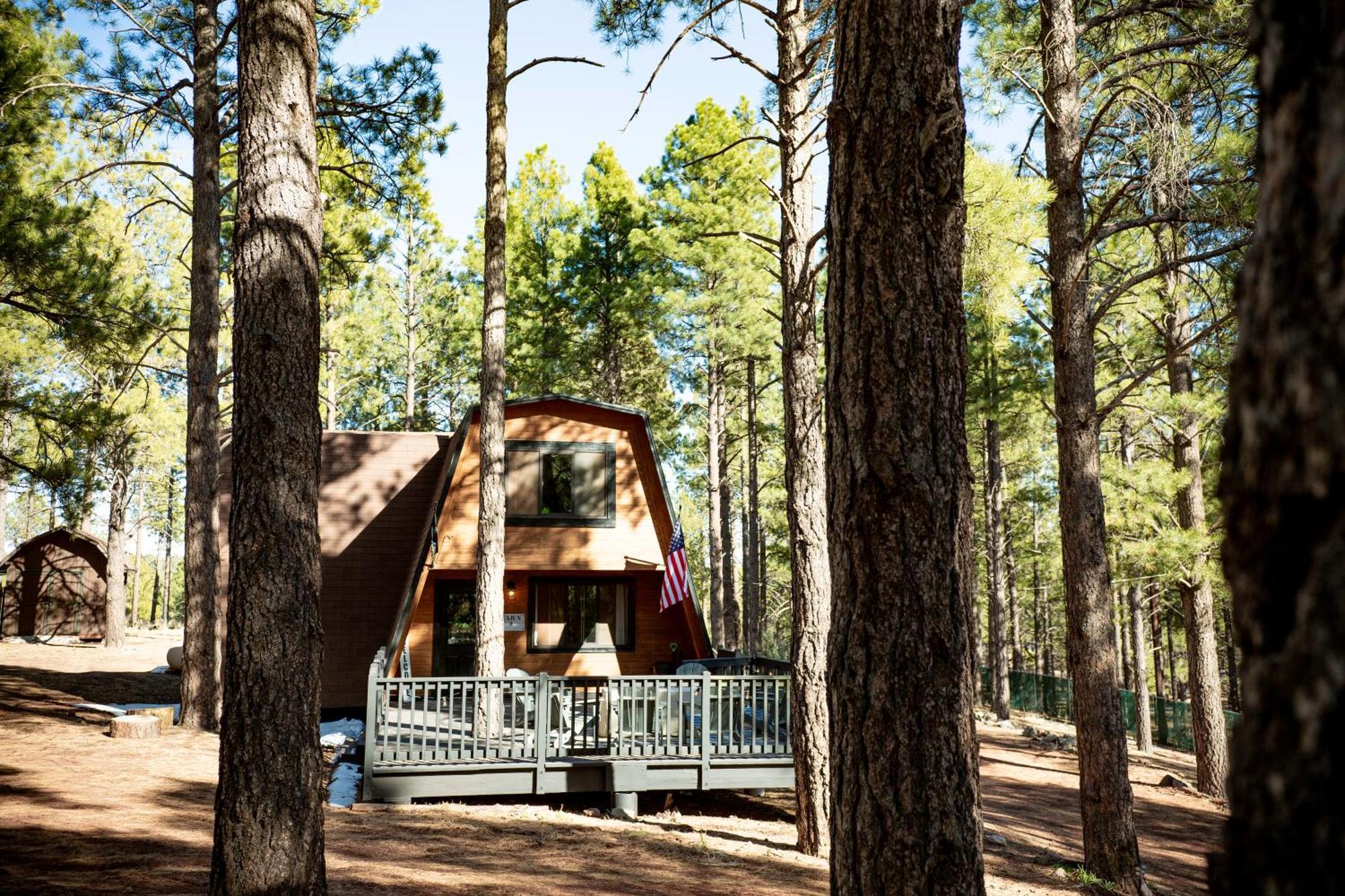 Grand Canyon Cabin! One Hour And 10 Minutes To The South Entrance! Williams Dış mekan fotoğraf