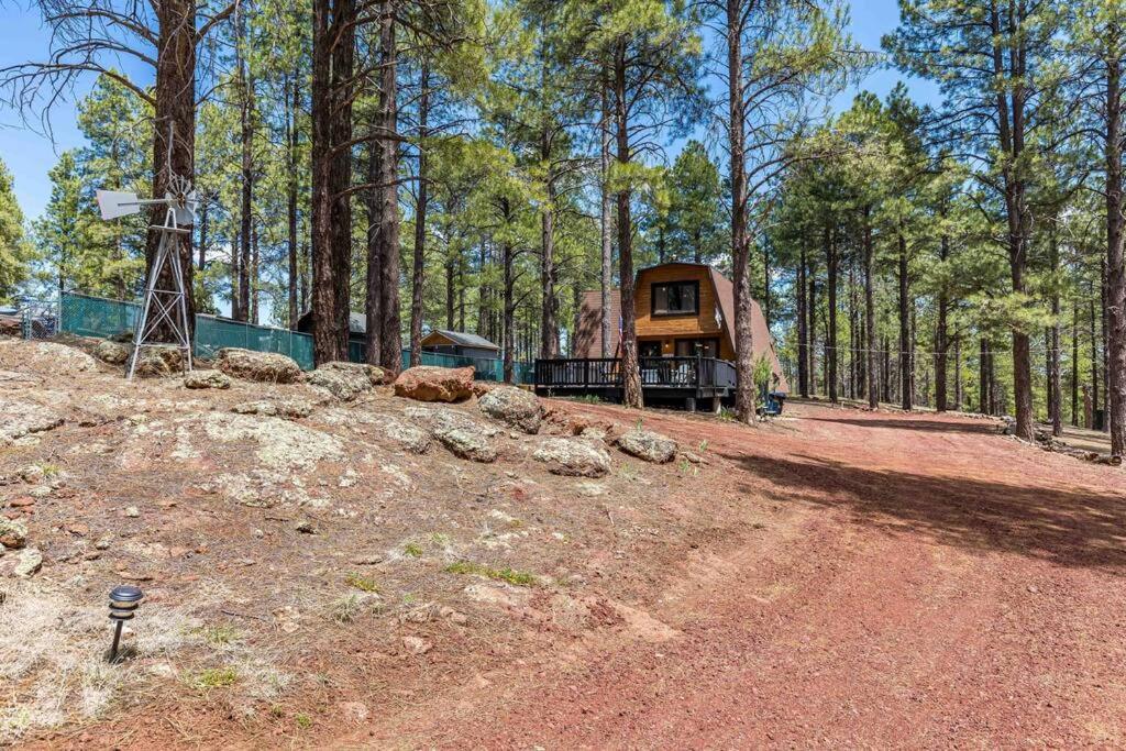 Grand Canyon Cabin! One Hour And 10 Minutes To The South Entrance! Williams Dış mekan fotoğraf
